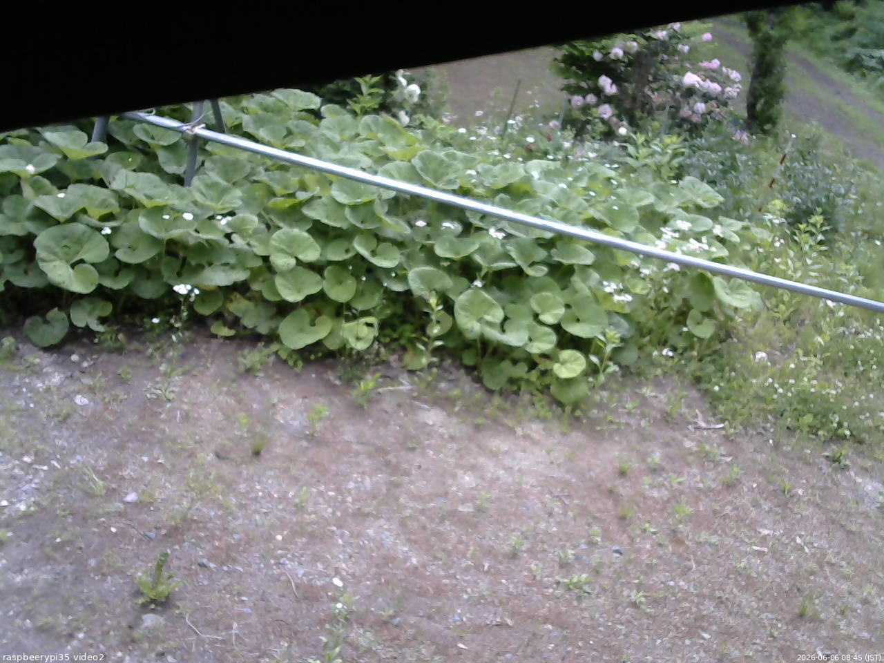長野県菅平高原 ゆたか山荘 駐車場 2026/06/06 08:45
