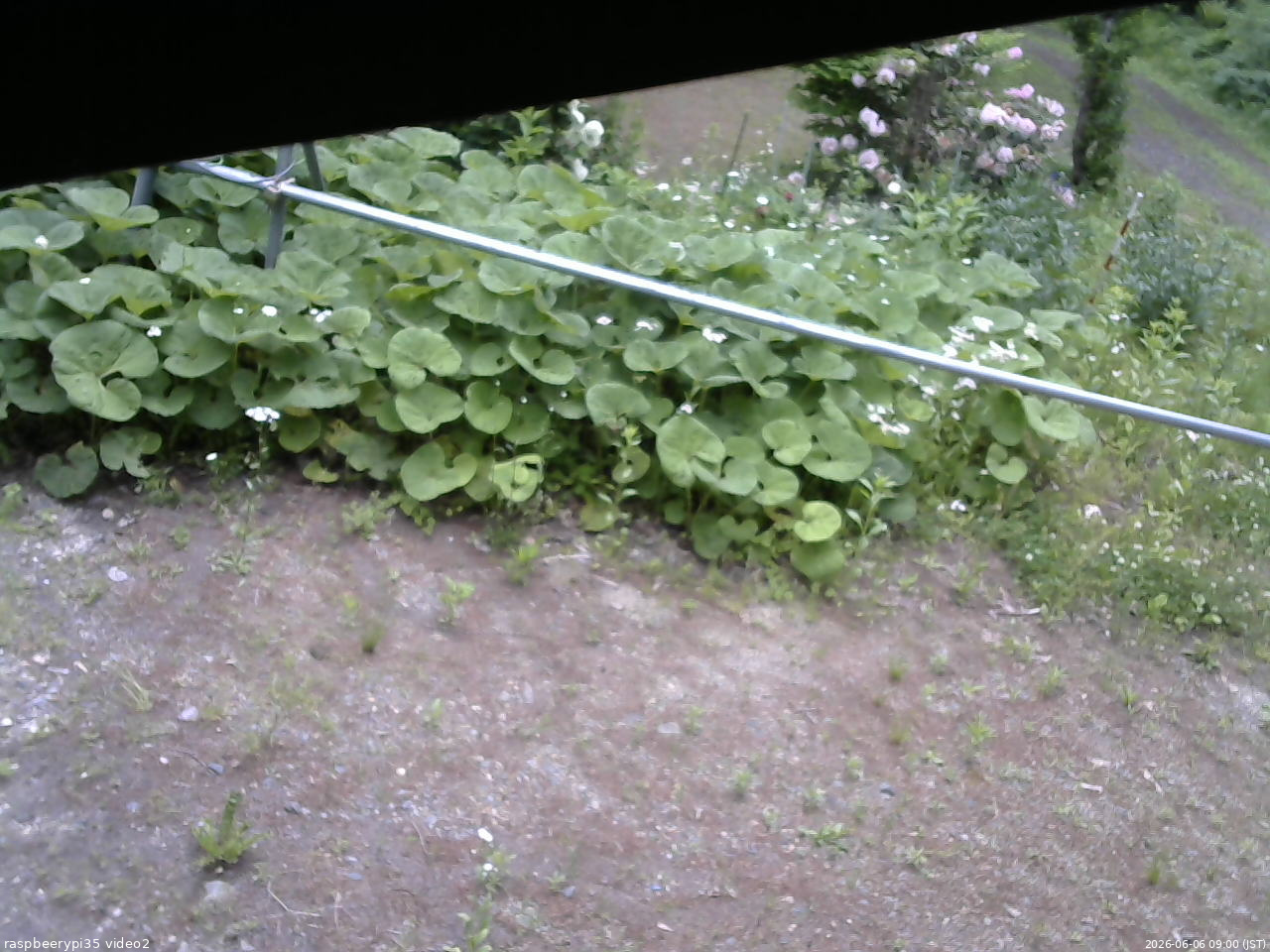 長野県菅平高原 ゆたか山荘 駐車場 2026/06/06 09:00