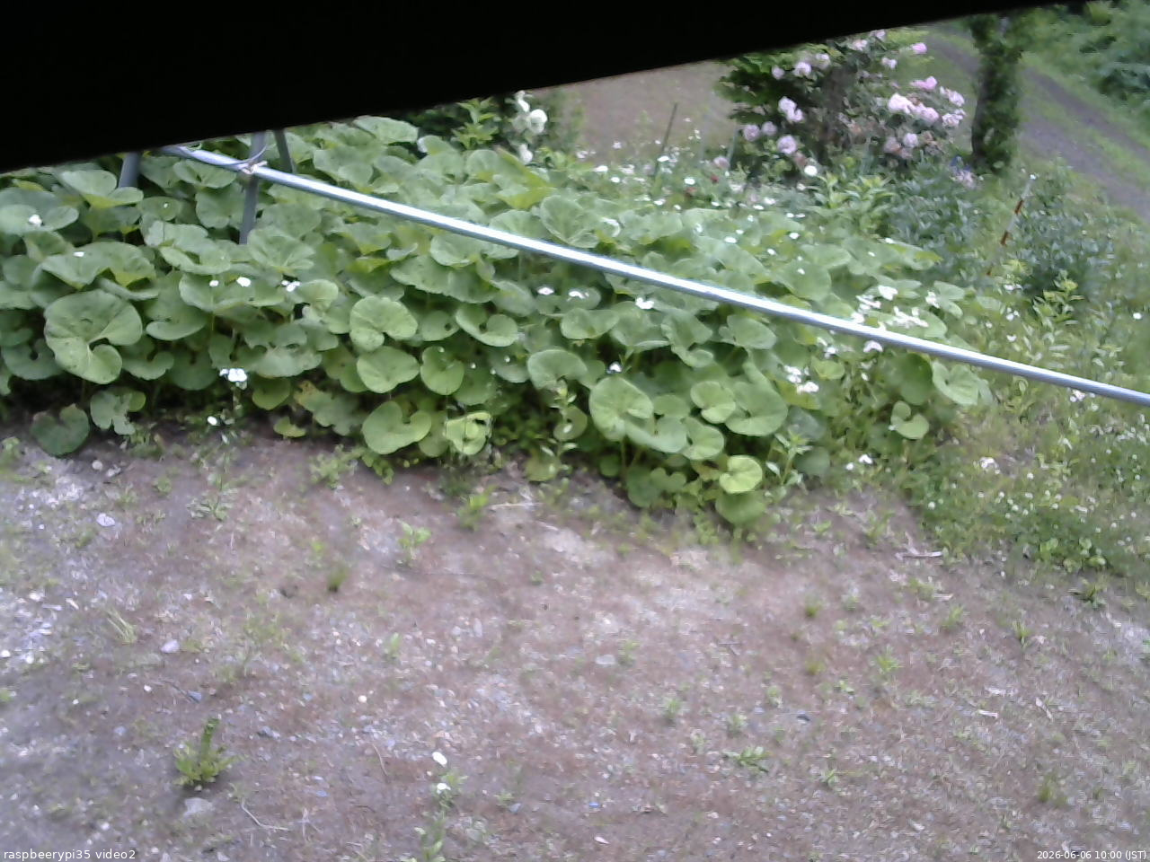 長野県菅平高原 ゆたか山荘 駐車場 2026/06/06 10:00