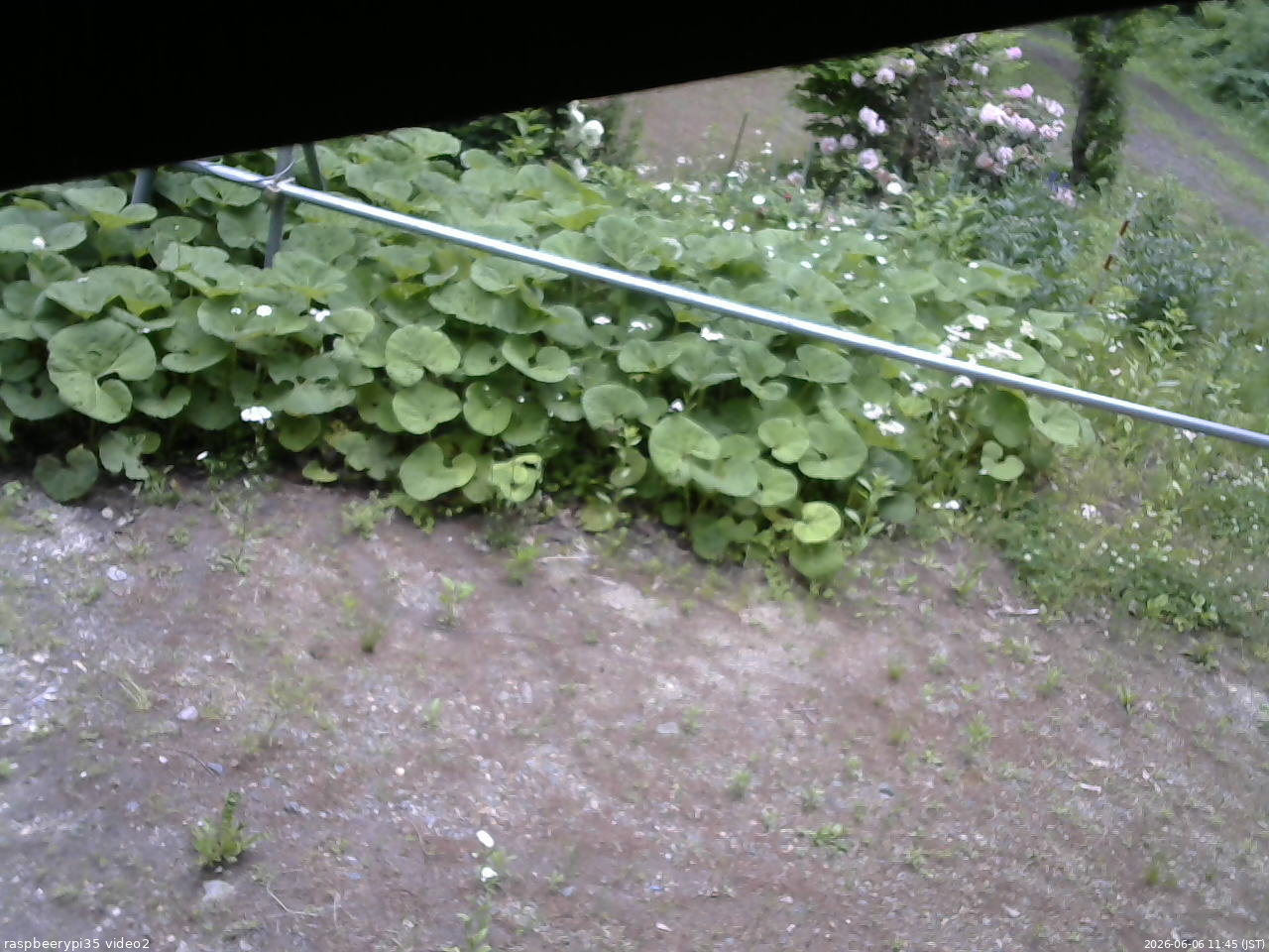 長野県菅平高原 ゆたか山荘 駐車場 2026/06/06 11:45
