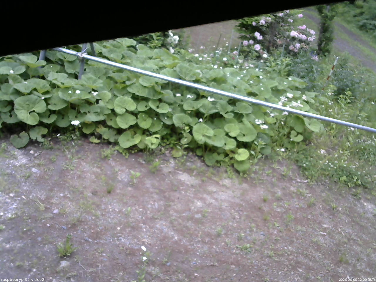 長野県菅平高原 ゆたか山荘 駐車場 2026/06/06 12:00