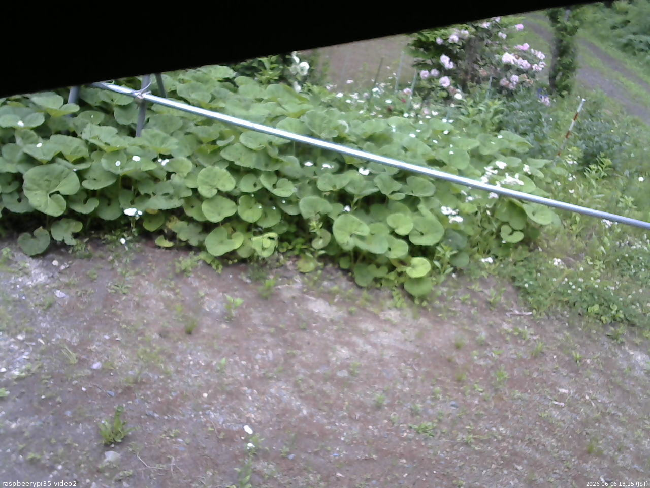 長野県菅平高原 ゆたか山荘 駐車場 2026/06/06 13:15