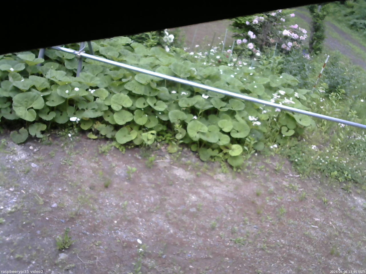 長野県菅平高原 ゆたか山荘 駐車場 2026/06/06 13:45