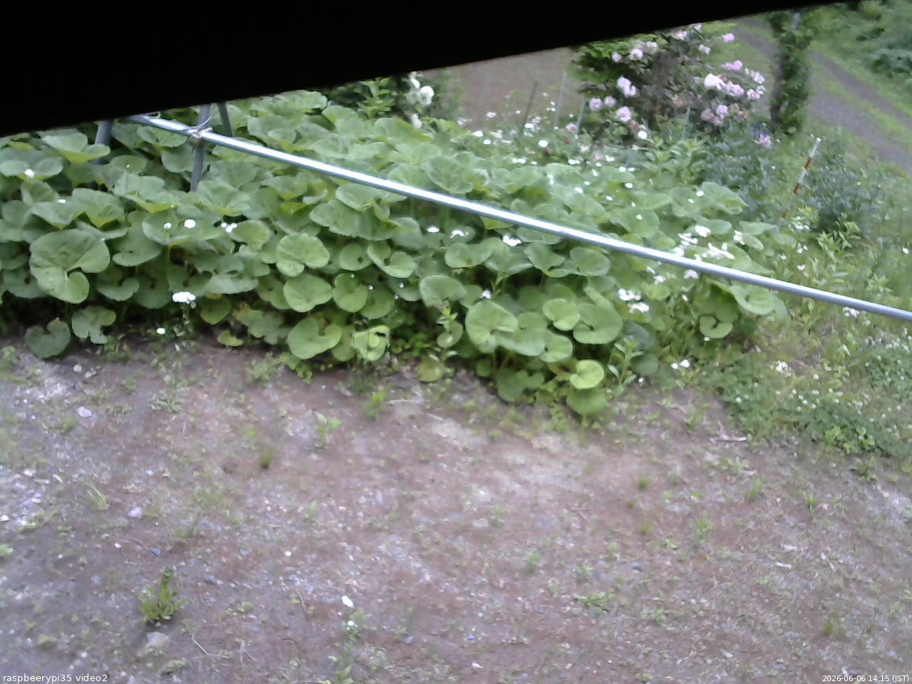 長野県菅平高原 ゆたか山荘 駐車場 2026/06/06 14:15