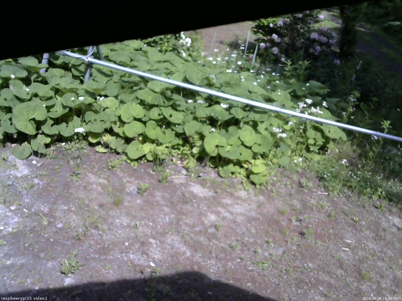 長野県菅平高原 ゆたか山荘 駐車場 2026/06/06 14:30