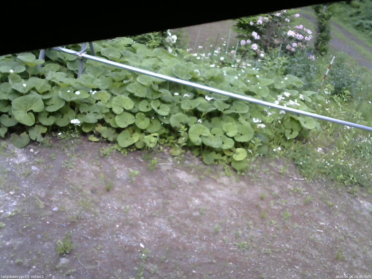 長野県菅平高原 ゆたか山荘 駐車場 2026/06/06 14:45
