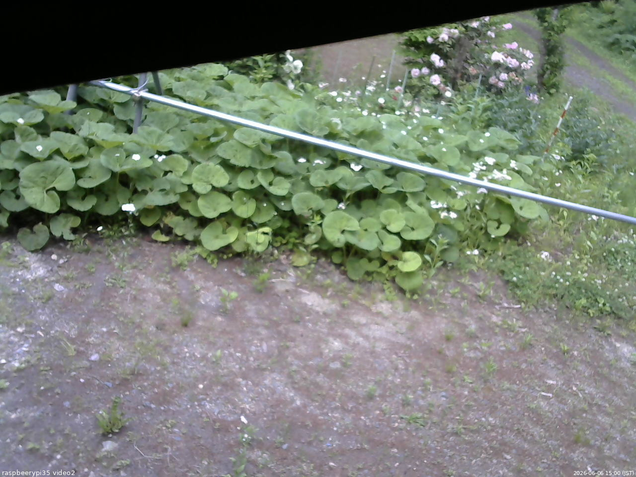 長野県菅平高原 ゆたか山荘 駐車場 2026/06/06 15:00