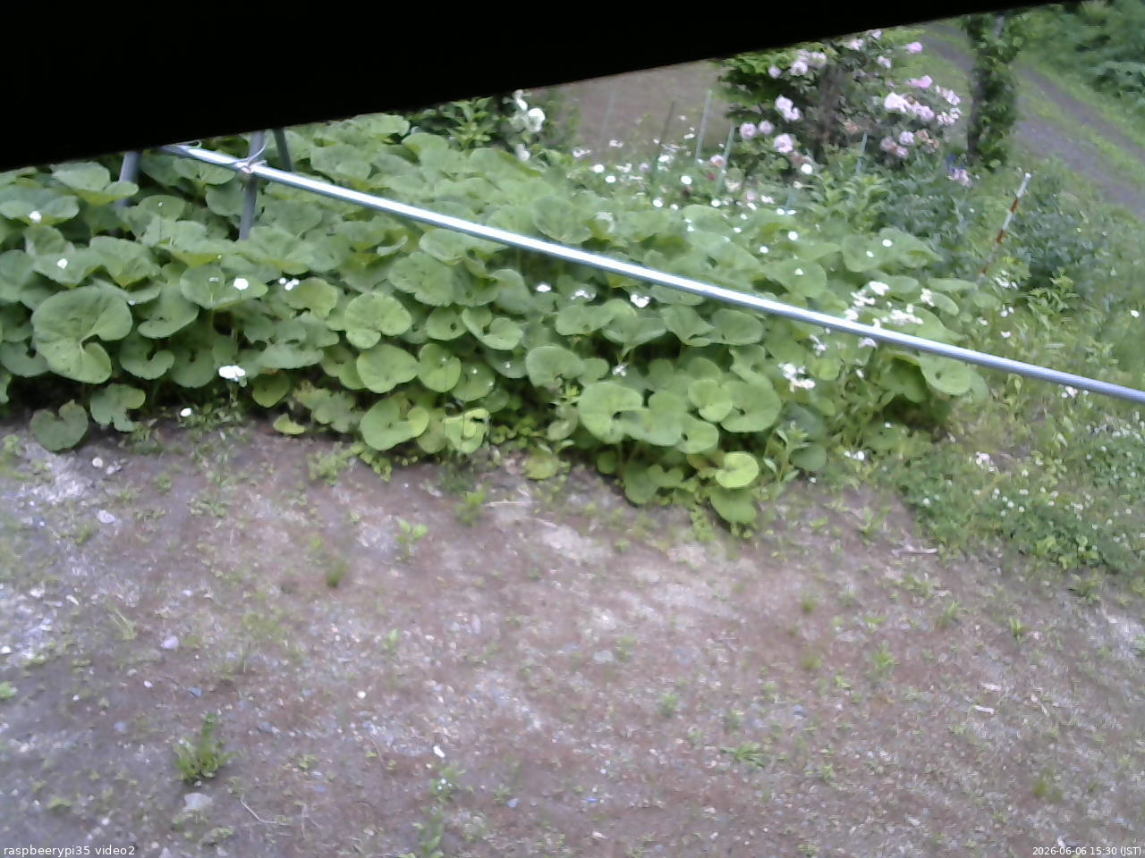 長野県菅平高原 ゆたか山荘 駐車場 2026/06/06 15:30