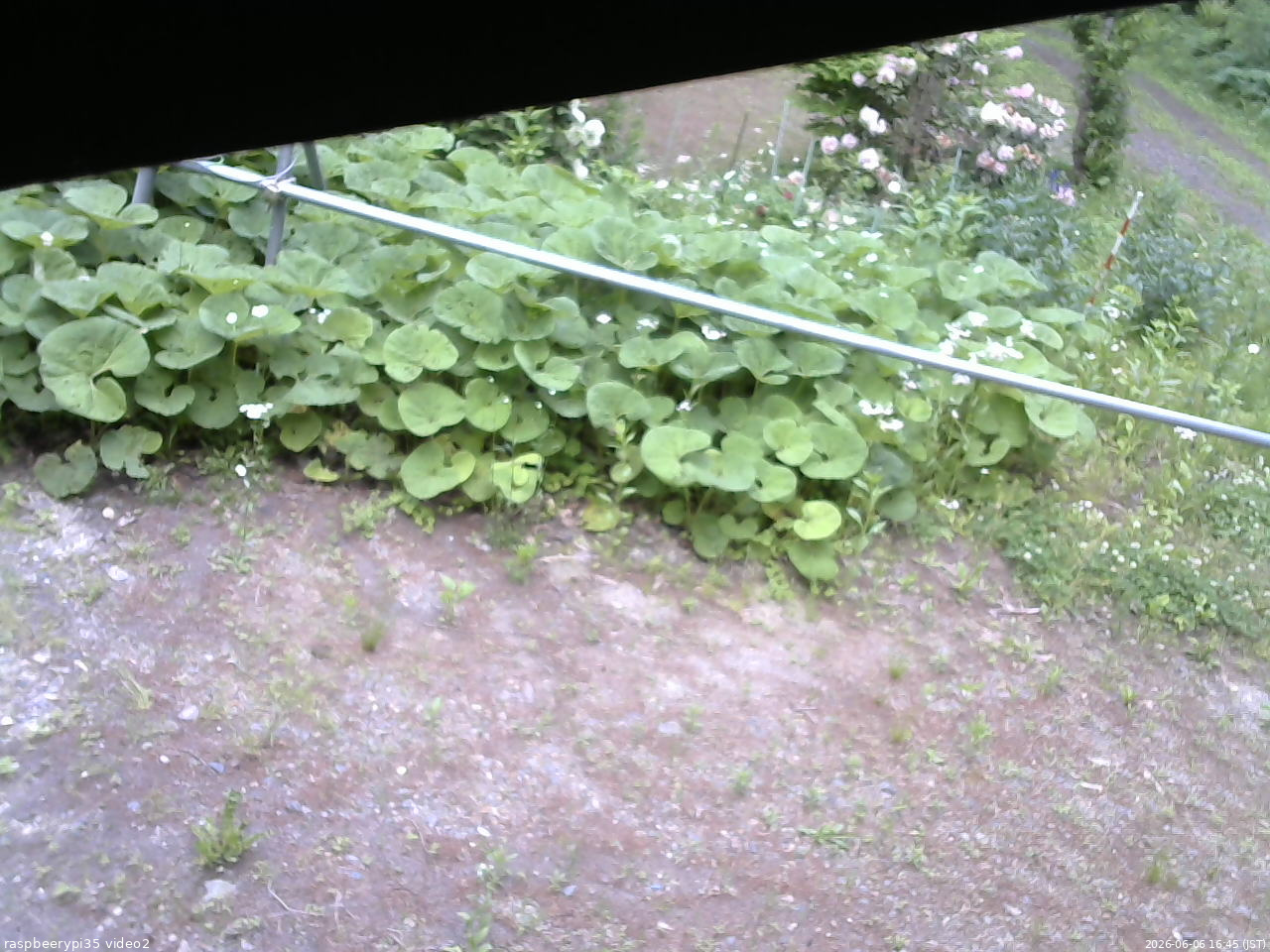 長野県菅平高原 ゆたか山荘 駐車場 2026/06/06 16:45