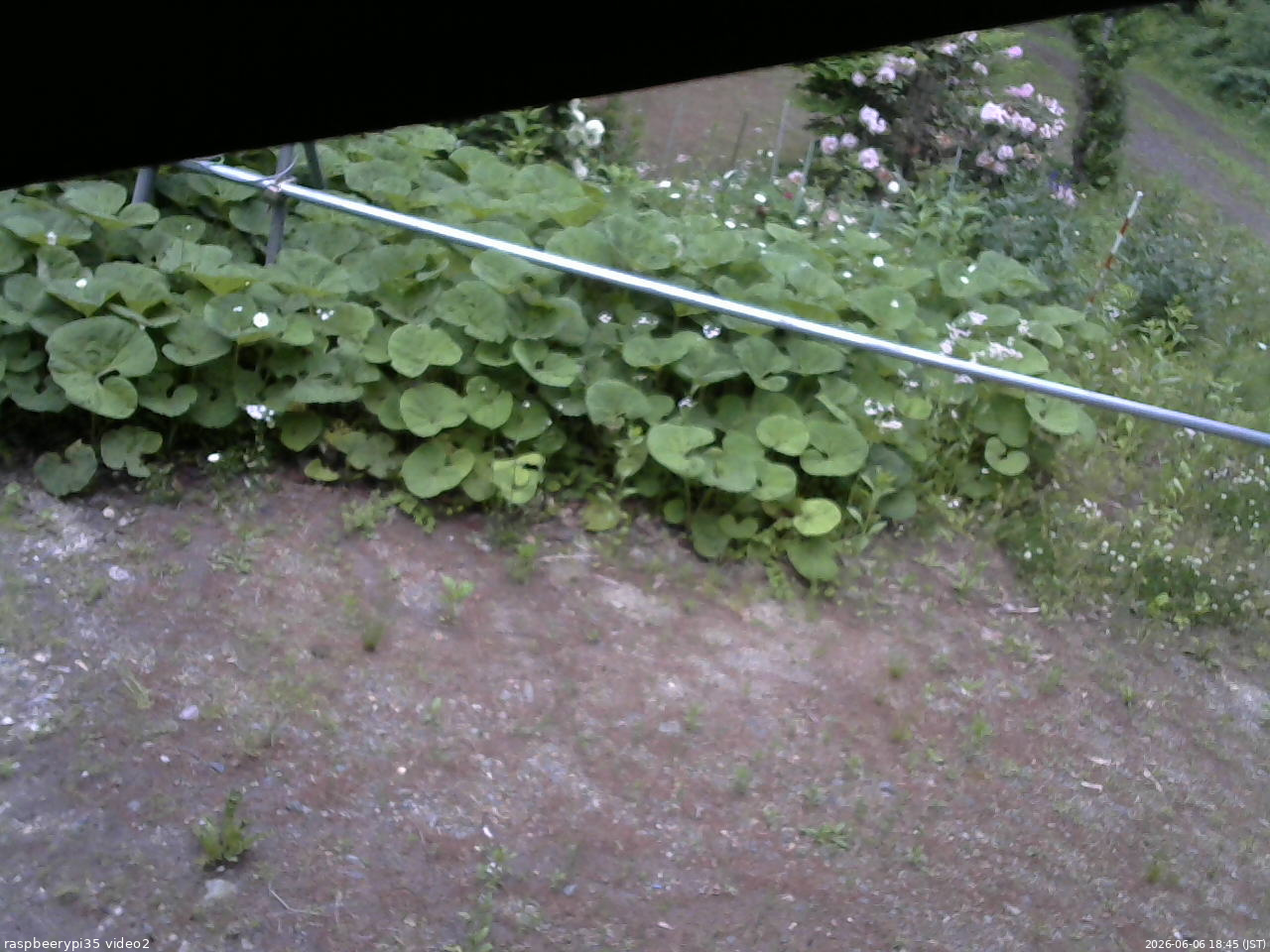長野県菅平高原 ゆたか山荘 駐車場 2026/06/06 18:45