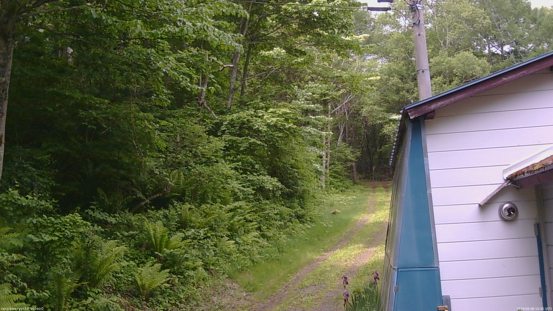 長野県菅平高原 ゆたか山荘 ゆたか山荘 2026/06/06 10:45