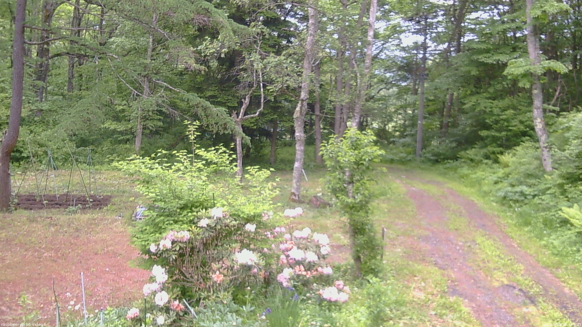長野県菅平高原 ゆたか山荘 坂上 2026/06/06 05:45