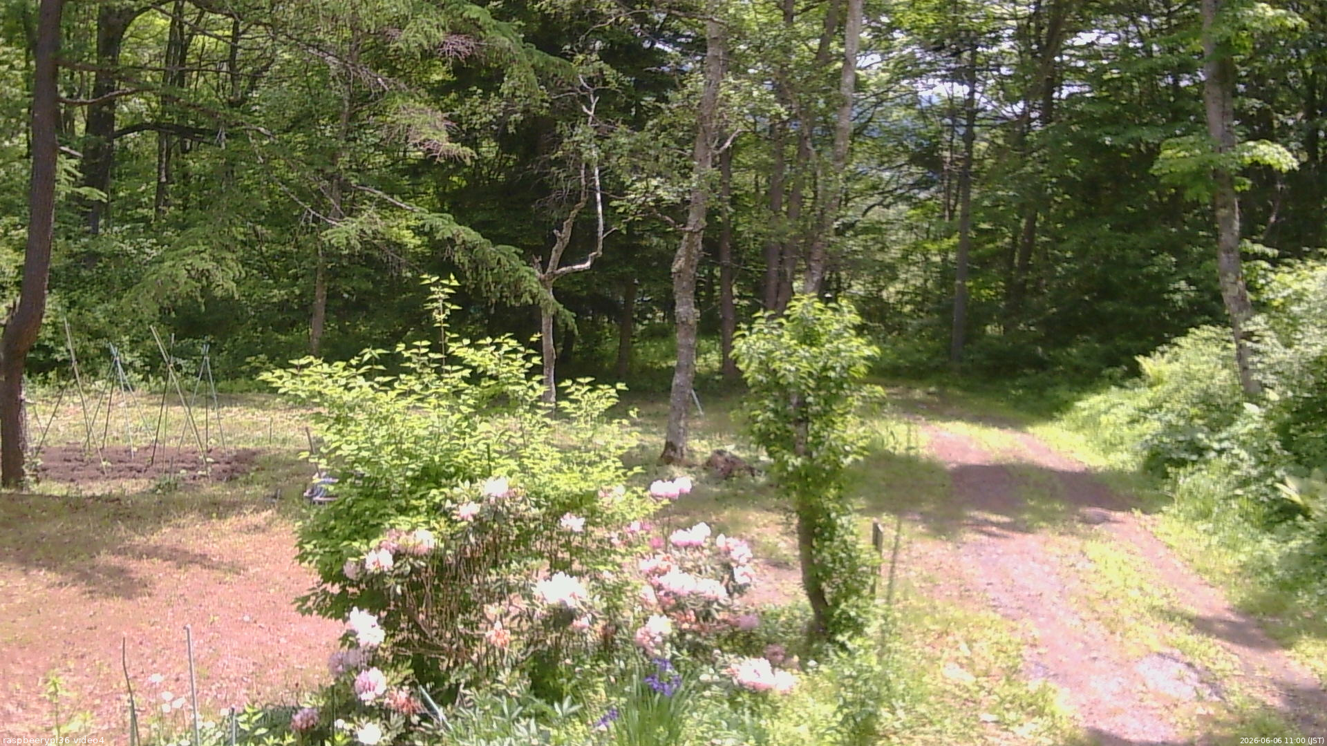 長野県菅平高原 ゆたか山荘 坂上 2026/06/06 11:00