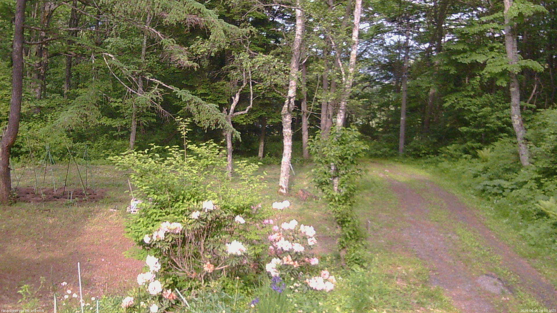 長野県菅平高原 ゆたか山荘 坂上 2026/06/06 16:00