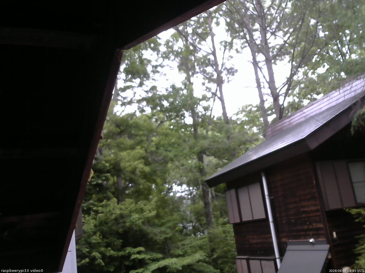 長野県菅平高原 ゆたか山荘 北側 2026/06/07 08:45
