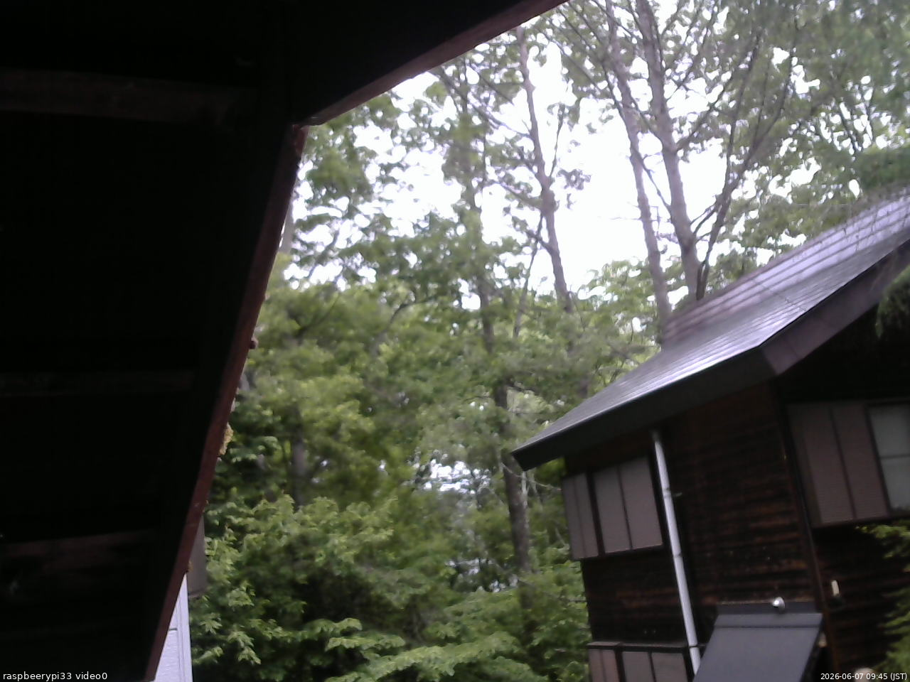 長野県菅平高原 ゆたか山荘 北側 2026/06/07 09:45