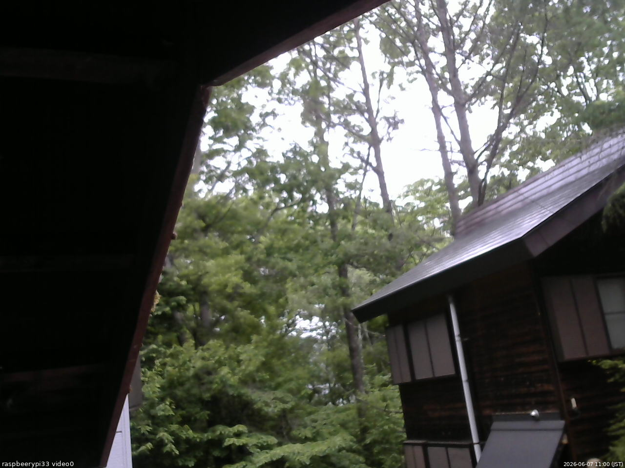 長野県菅平高原 ゆたか山荘 北側 2026/06/07 11:00
