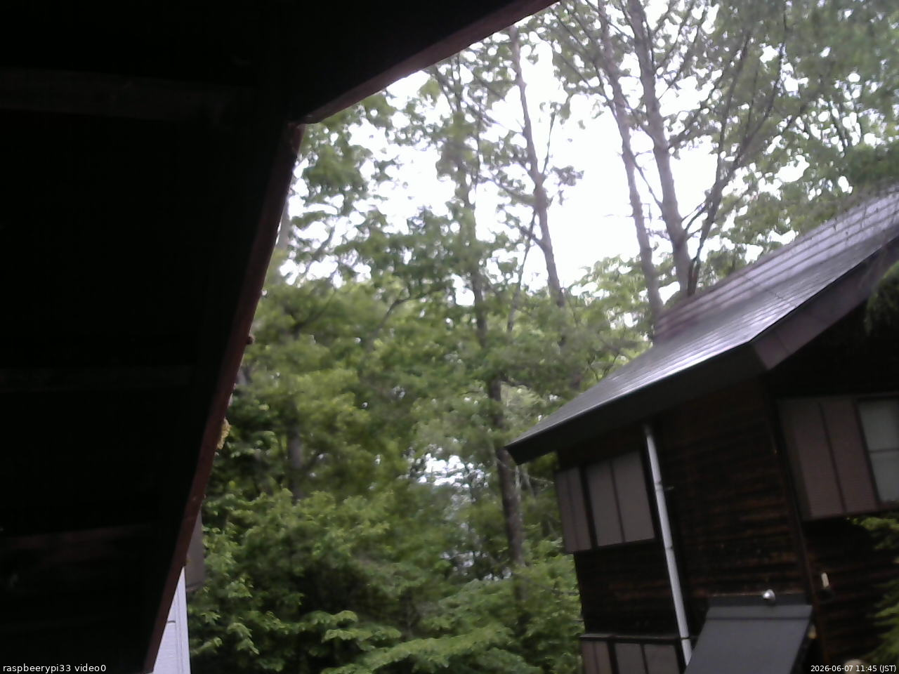 長野県菅平高原 ゆたか山荘 北側 2026/06/07 11:45