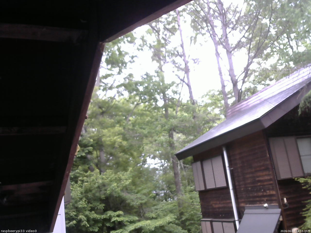長野県菅平高原 ゆたか山荘 北側 2026/06/07 14:15
