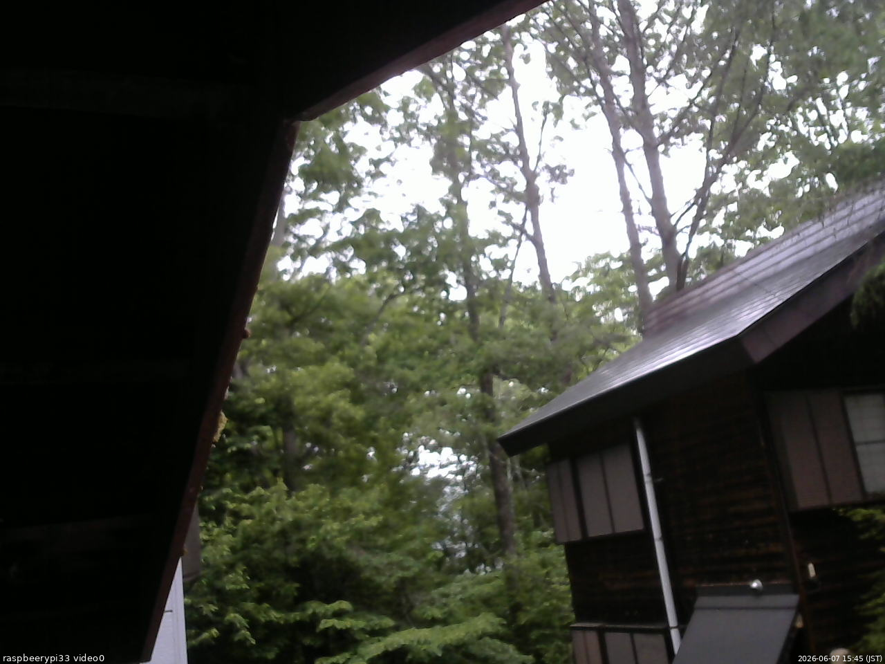長野県菅平高原 ゆたか山荘 北側 2026/06/07 15:45