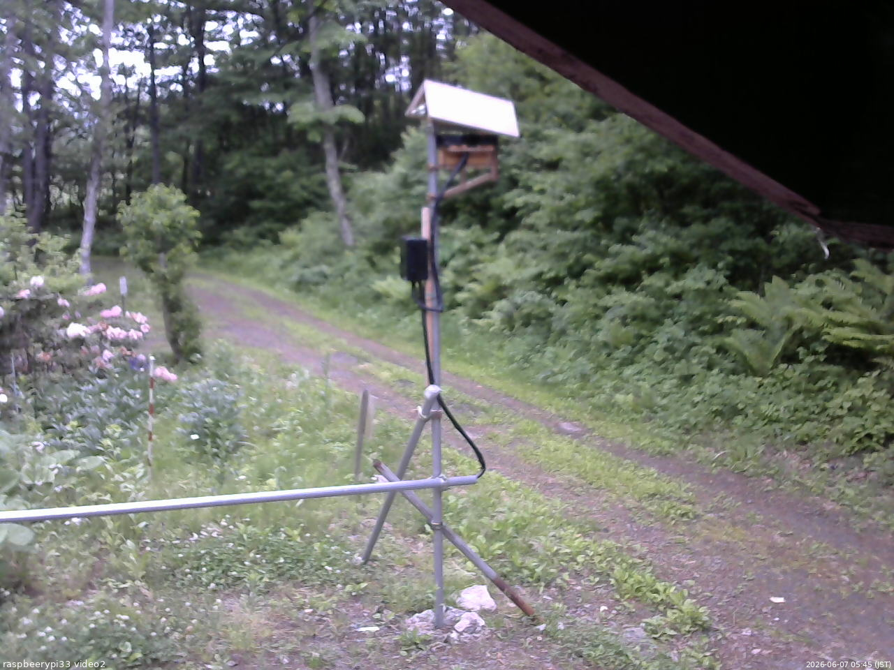 長野県菅平高原 ゆたか山荘 南側 2026/06/07 05:45