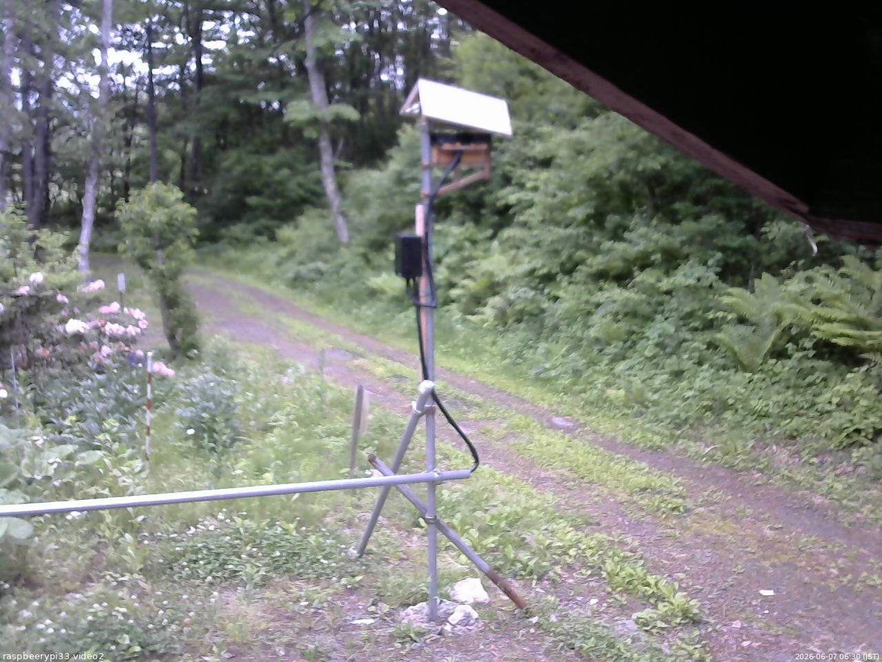 長野県菅平高原 ゆたか山荘 南側 2026/06/07 06:30