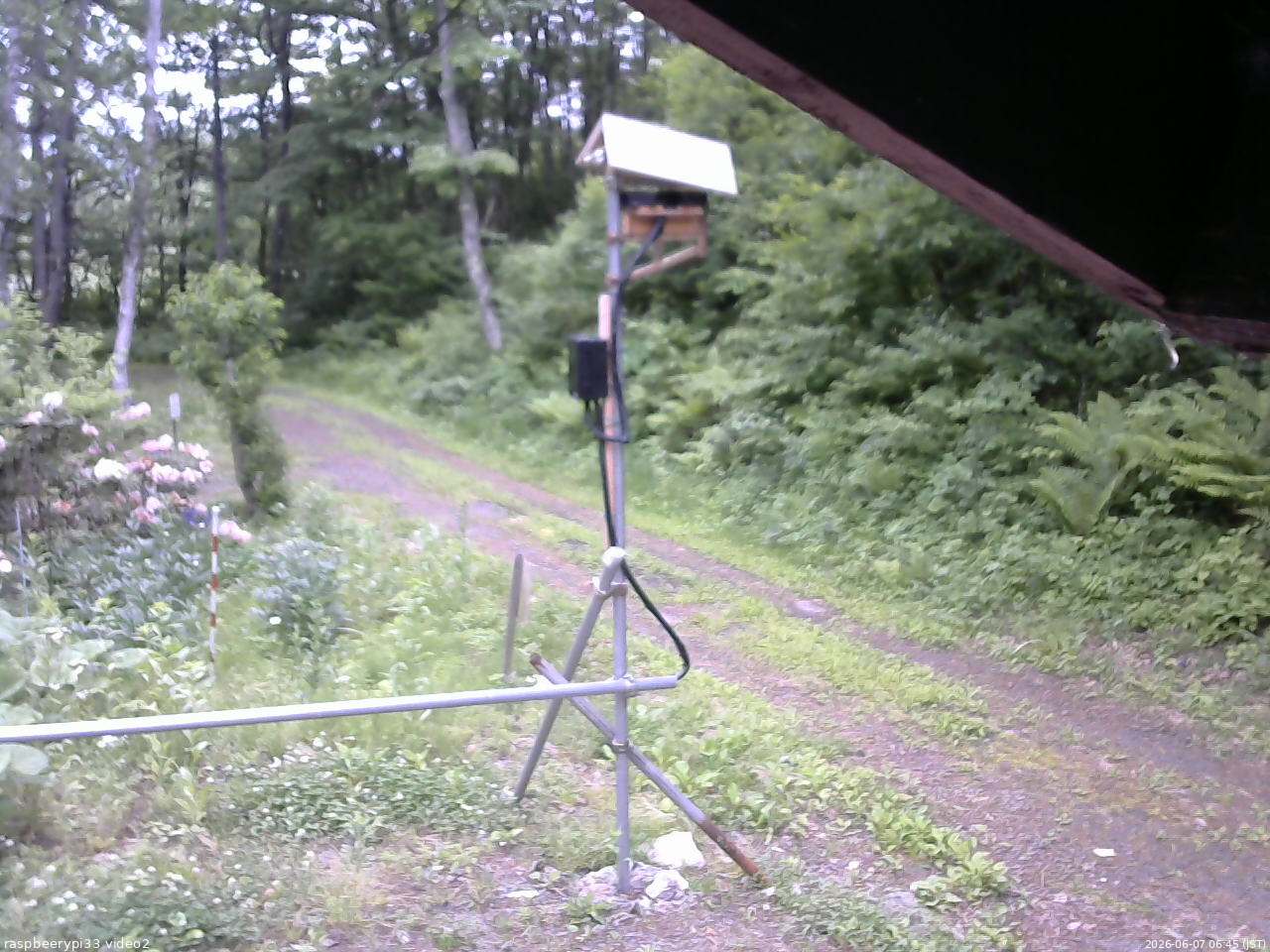 長野県菅平高原 ゆたか山荘 南側 2026/06/07 06:45