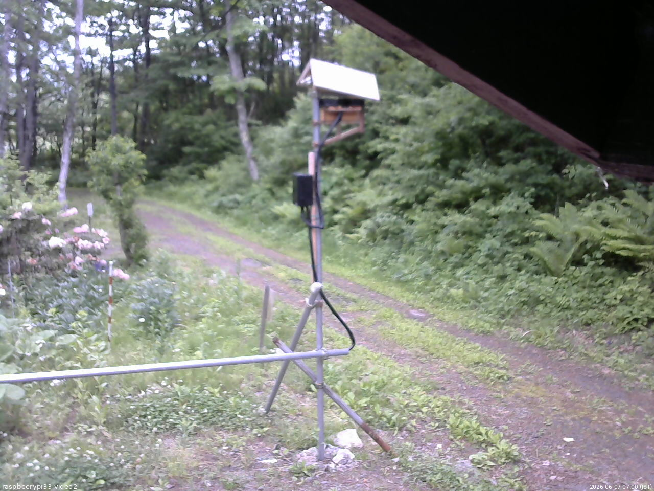 長野県菅平高原 ゆたか山荘 南側 2026/06/07 07:00