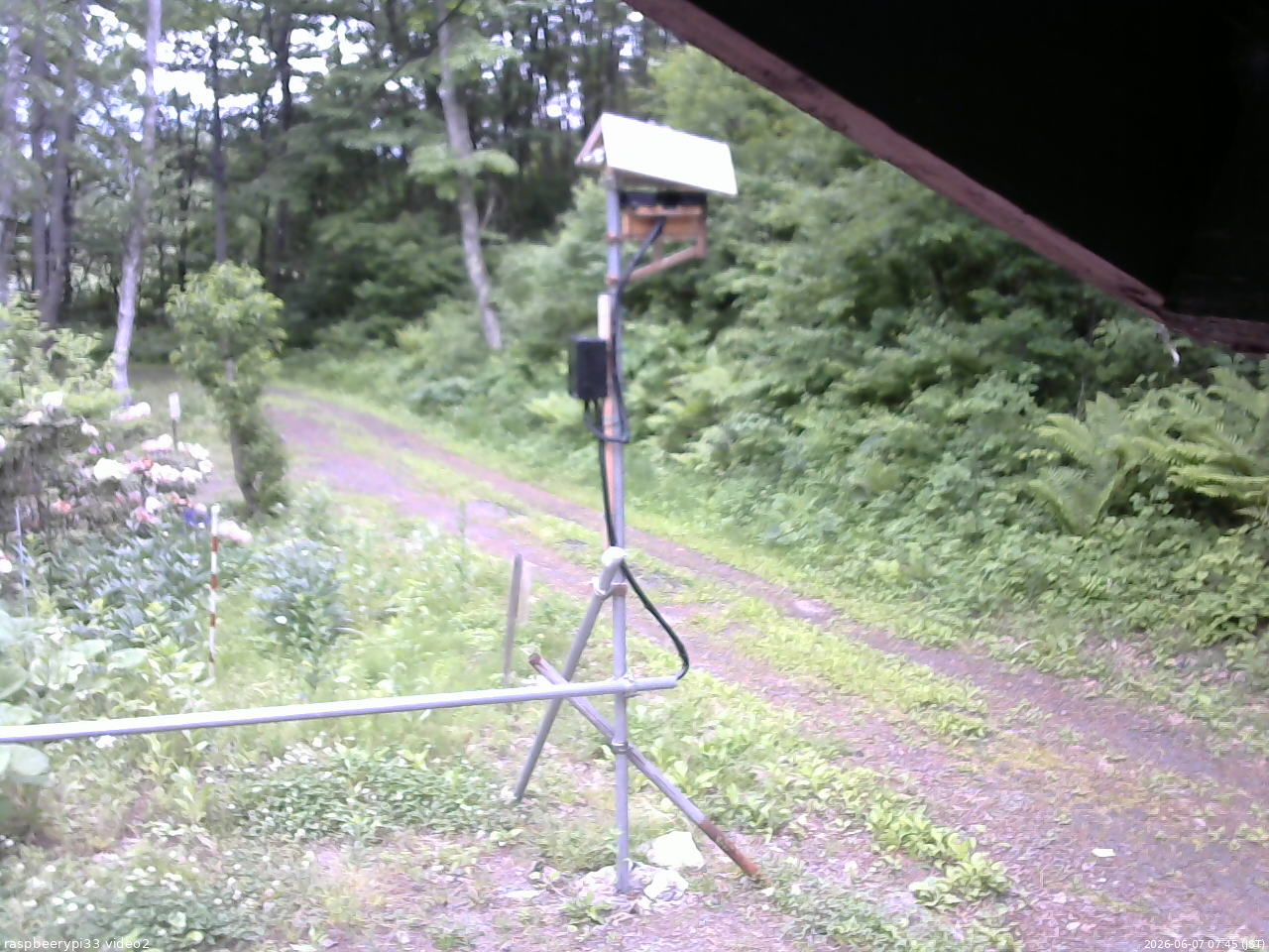 長野県菅平高原 ゆたか山荘 南側 2026/06/07 07:45