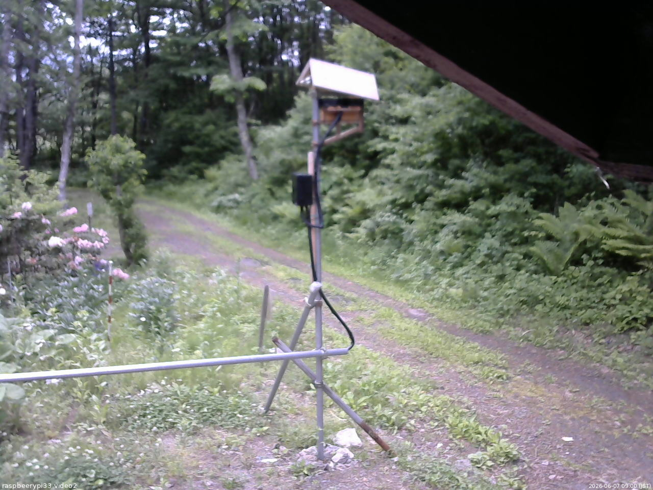 長野県菅平高原 ゆたか山荘 南側 2026/06/07 09:00