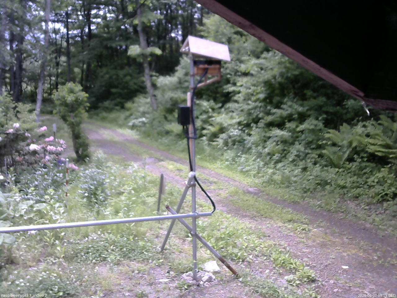 長野県菅平高原 ゆたか山荘 南側 2026/06/07 09:15