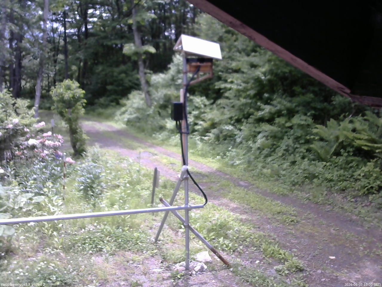 長野県菅平高原 ゆたか山荘 南側 2026/06/07 10:00