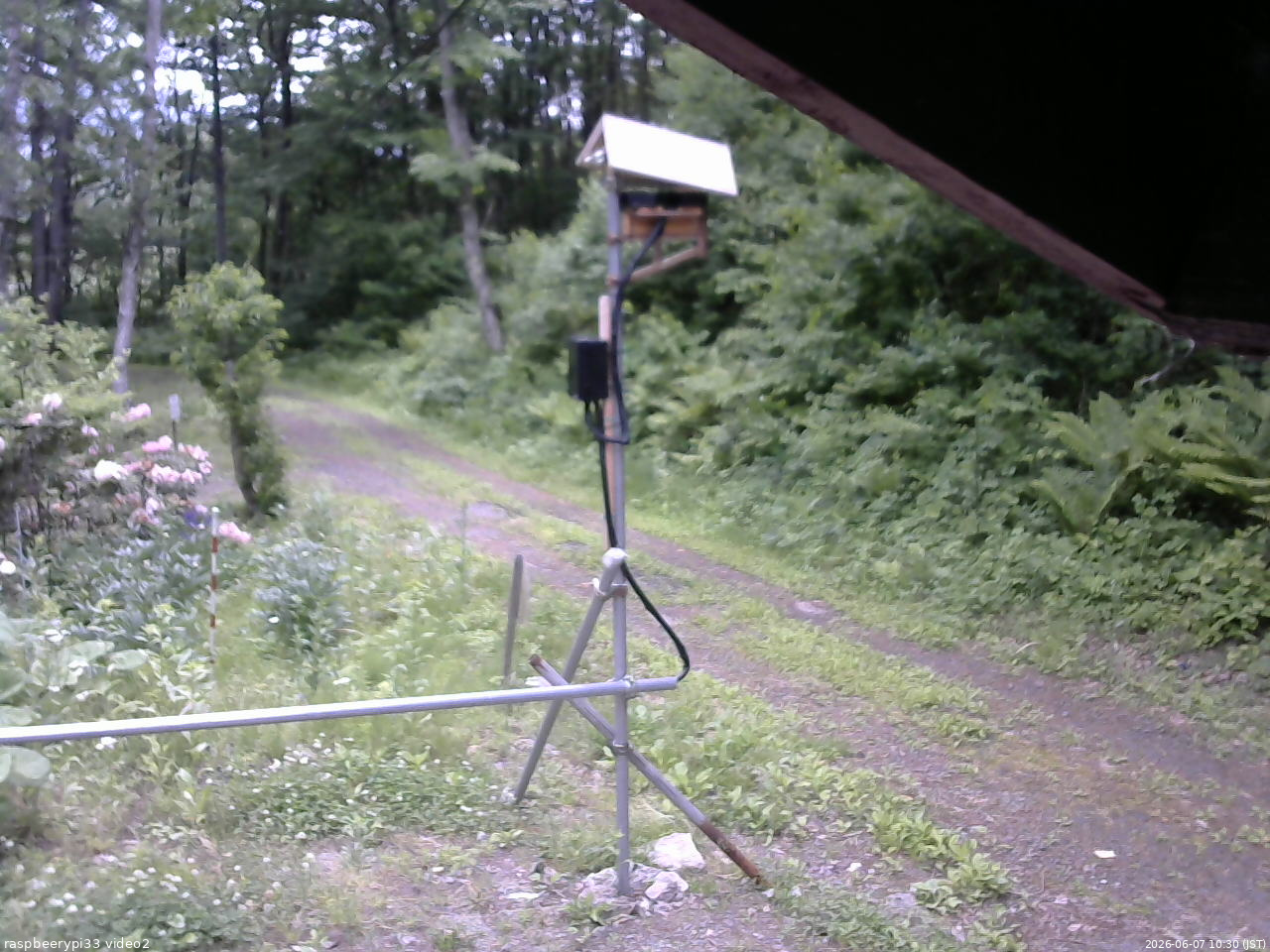 長野県菅平高原 ゆたか山荘 南側 2026/06/07 10:30