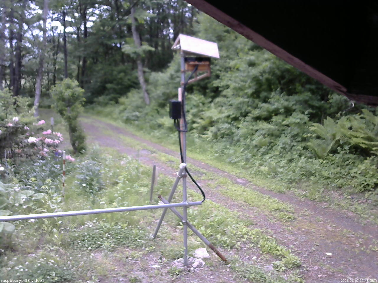 長野県菅平高原 ゆたか山荘 南側 2026/06/07 11:45