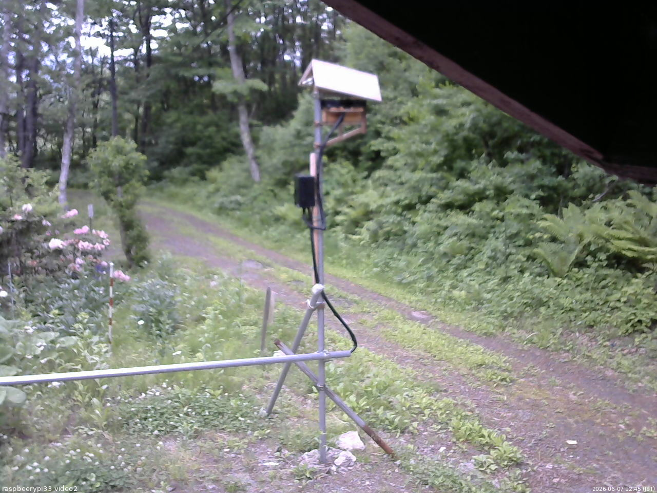 長野県菅平高原 ゆたか山荘 南側 2026/06/07 12:45