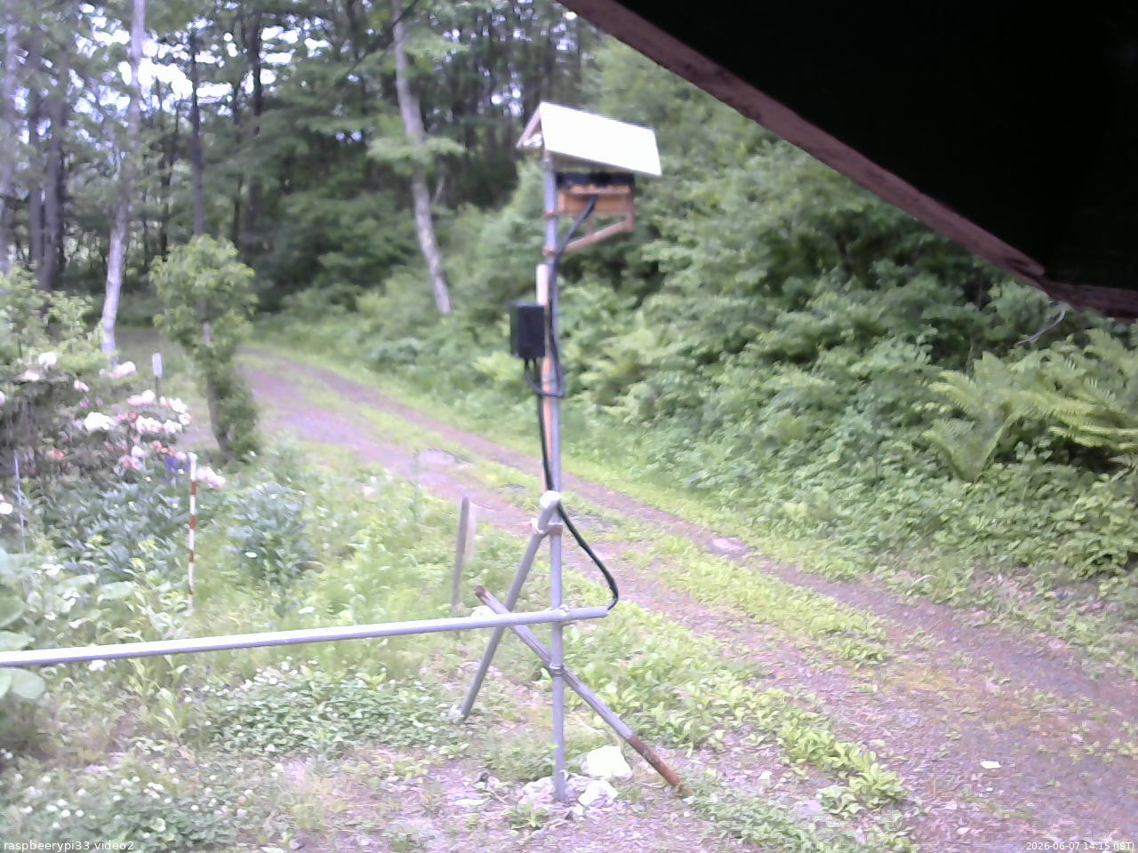 長野県菅平高原 ゆたか山荘 南側 2026/06/07 14:15