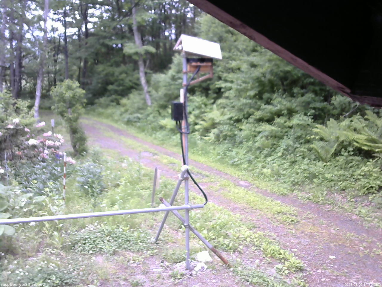 長野県菅平高原 ゆたか山荘 南側 2026/06/07 14:30