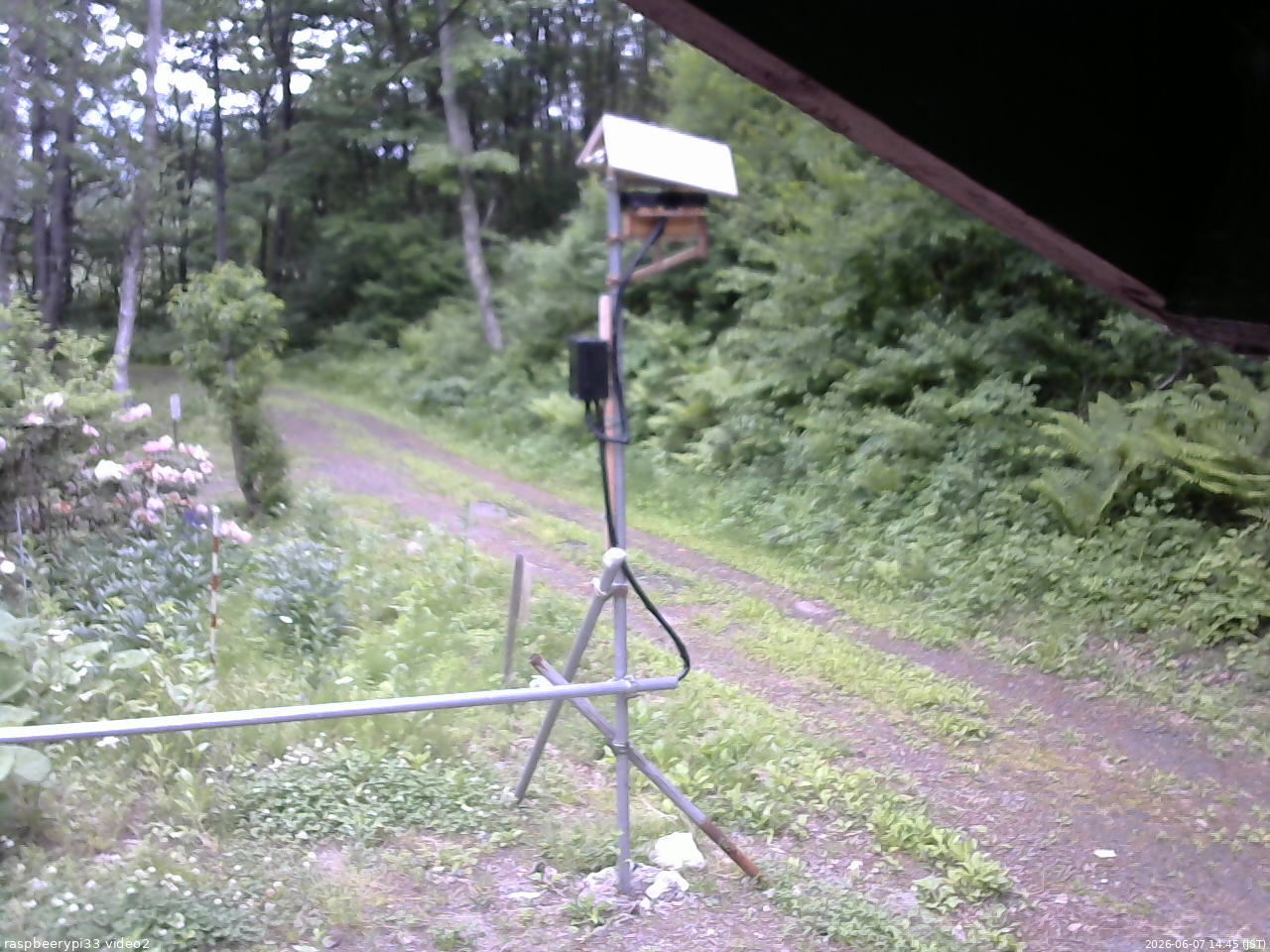 長野県菅平高原 ゆたか山荘 南側 2026/06/07 14:45