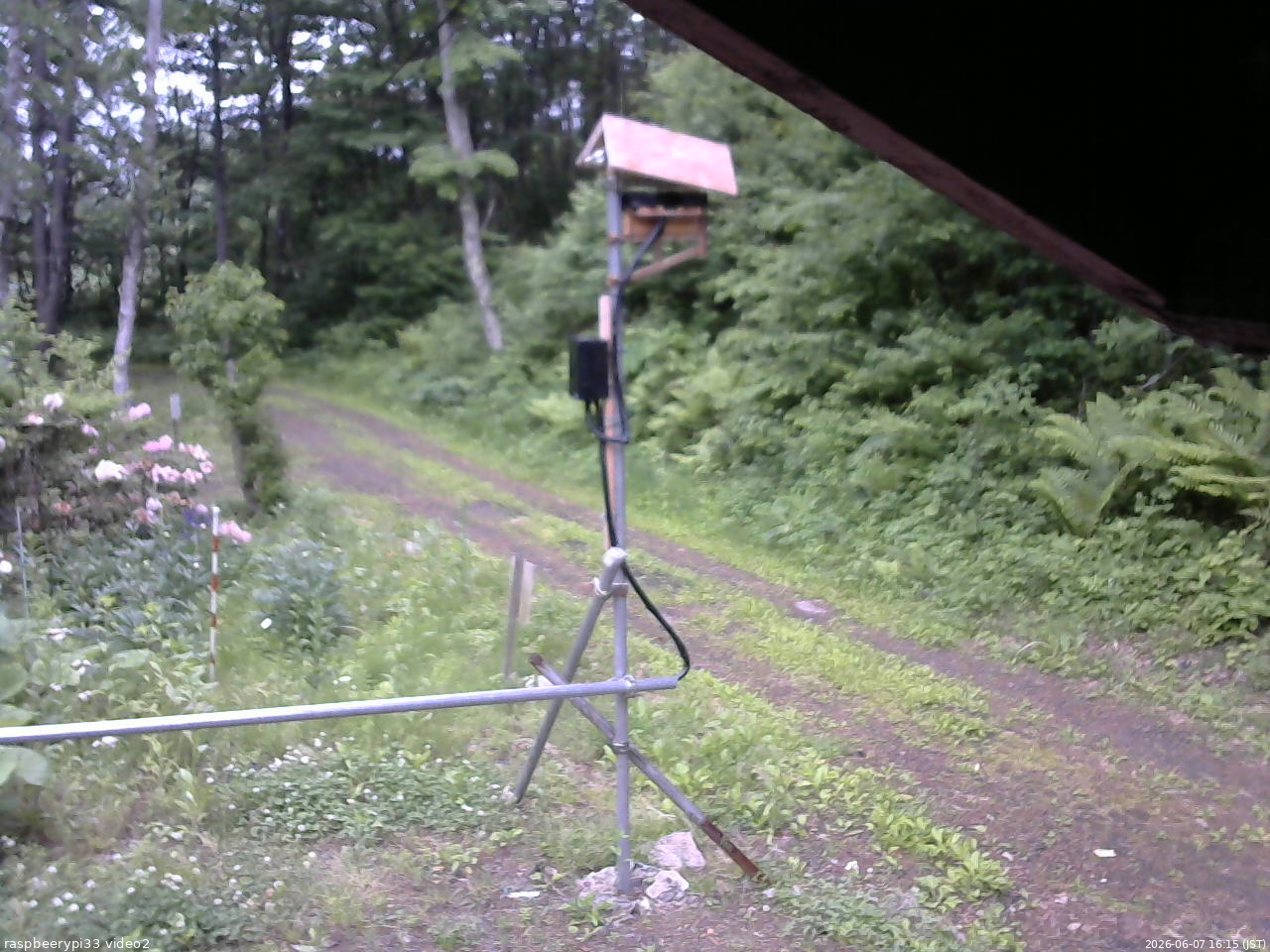 長野県菅平高原 ゆたか山荘 南側 2026/06/07 16:15