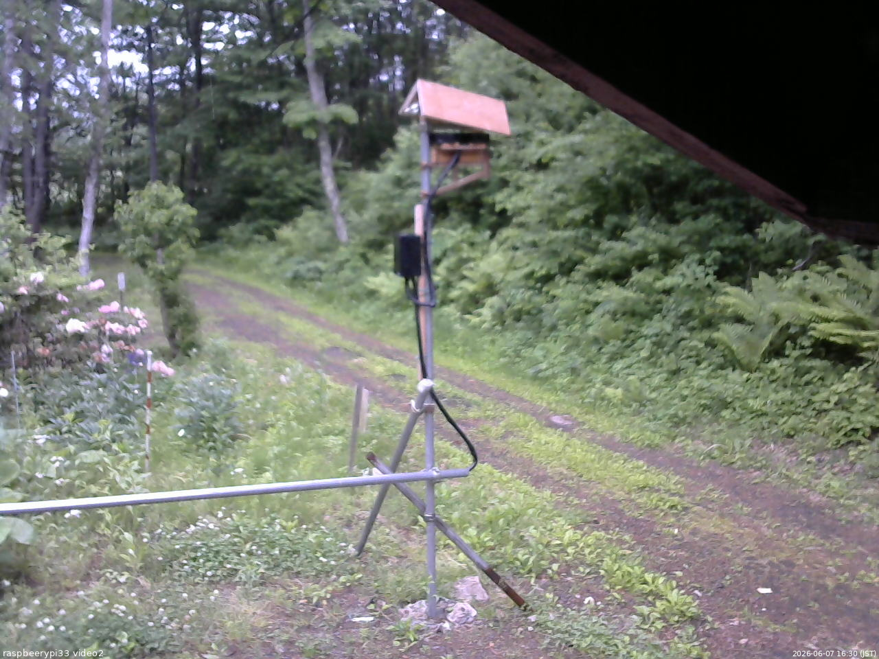 長野県菅平高原 ゆたか山荘 南側 2026/06/07 16:30