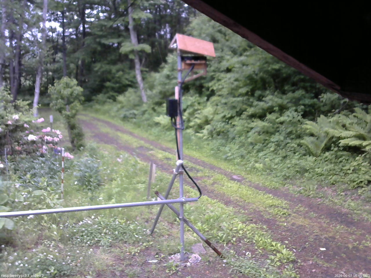 長野県菅平高原 ゆたか山荘 南側 2026/06/07 16:45