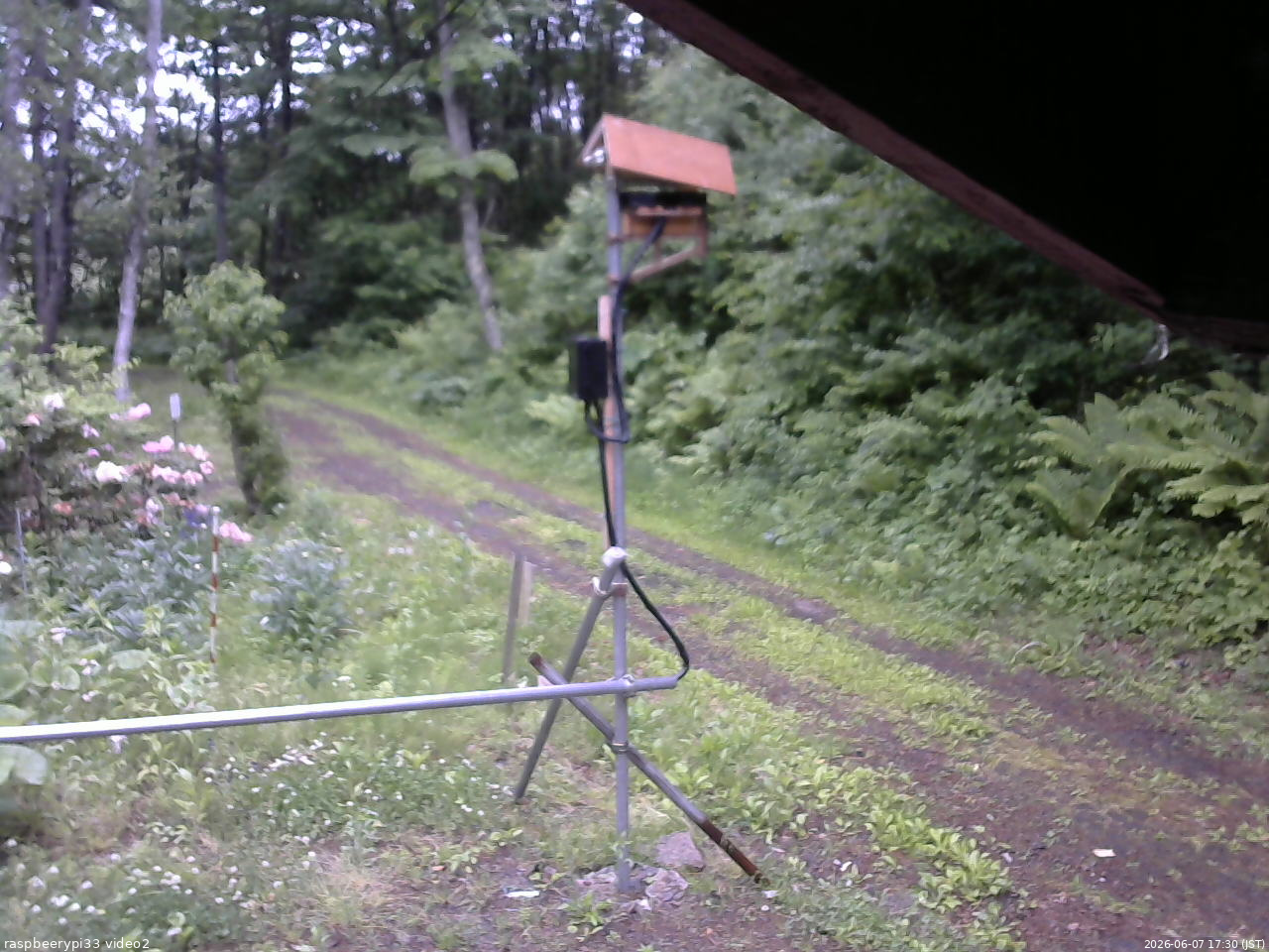 長野県菅平高原 ゆたか山荘 南側 2026/06/07 17:30