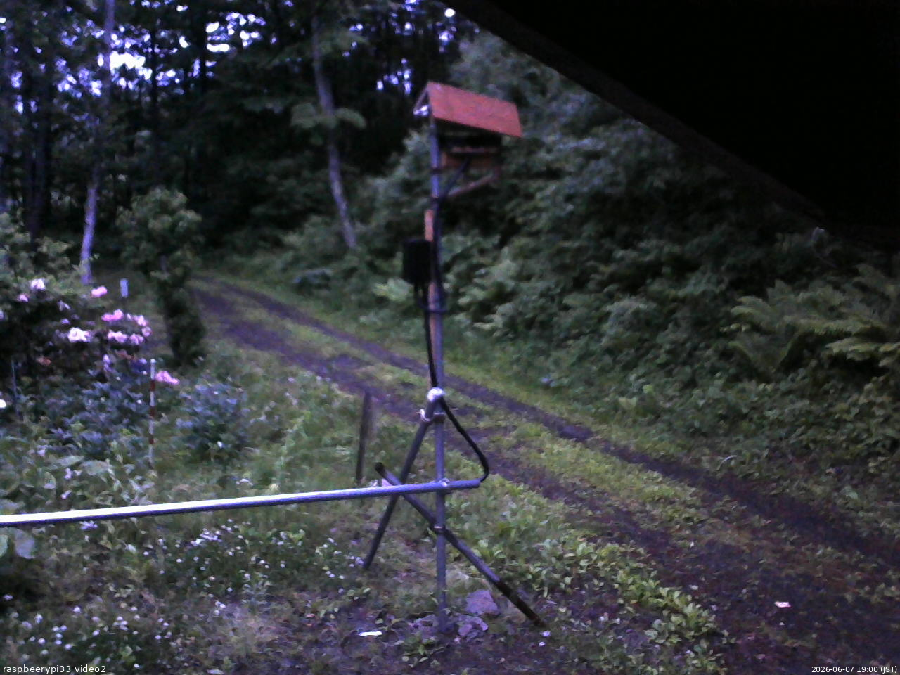 長野県菅平高原 ゆたか山荘 南側 2026/06/07 19:00