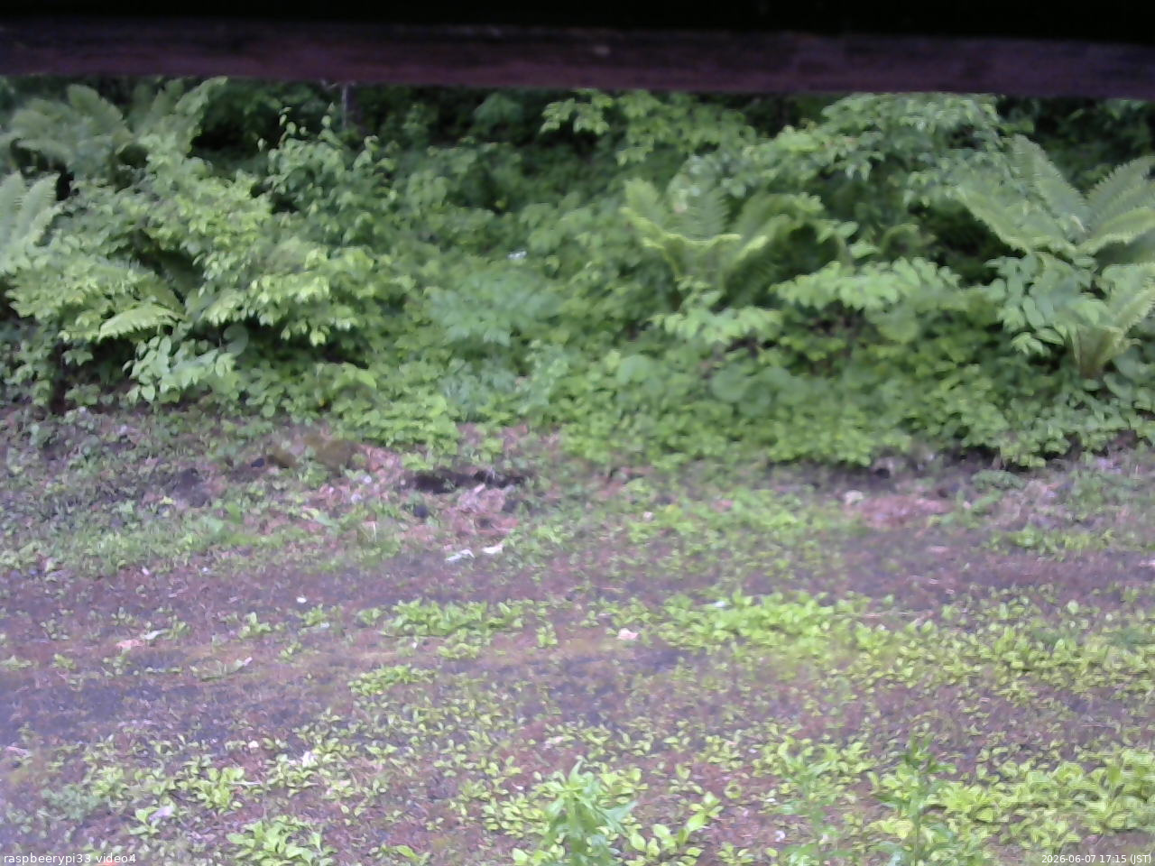 長野県菅平高原 ゆたか山荘 東側(坂下) 2026/06/07 17:15