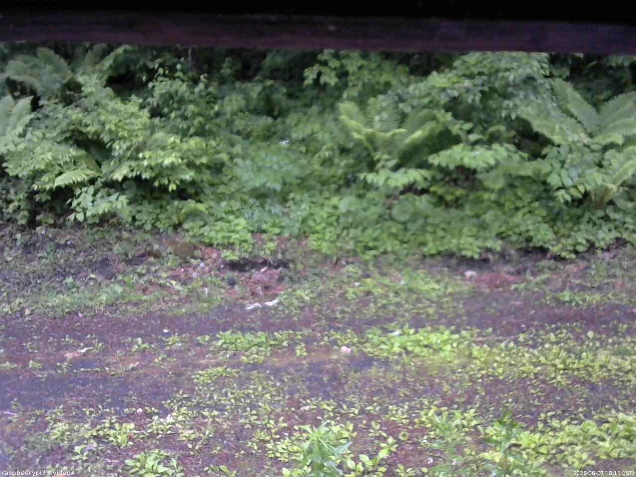 長野県菅平高原 ゆたか山荘 東側(坂下) 2026/06/07 18:15