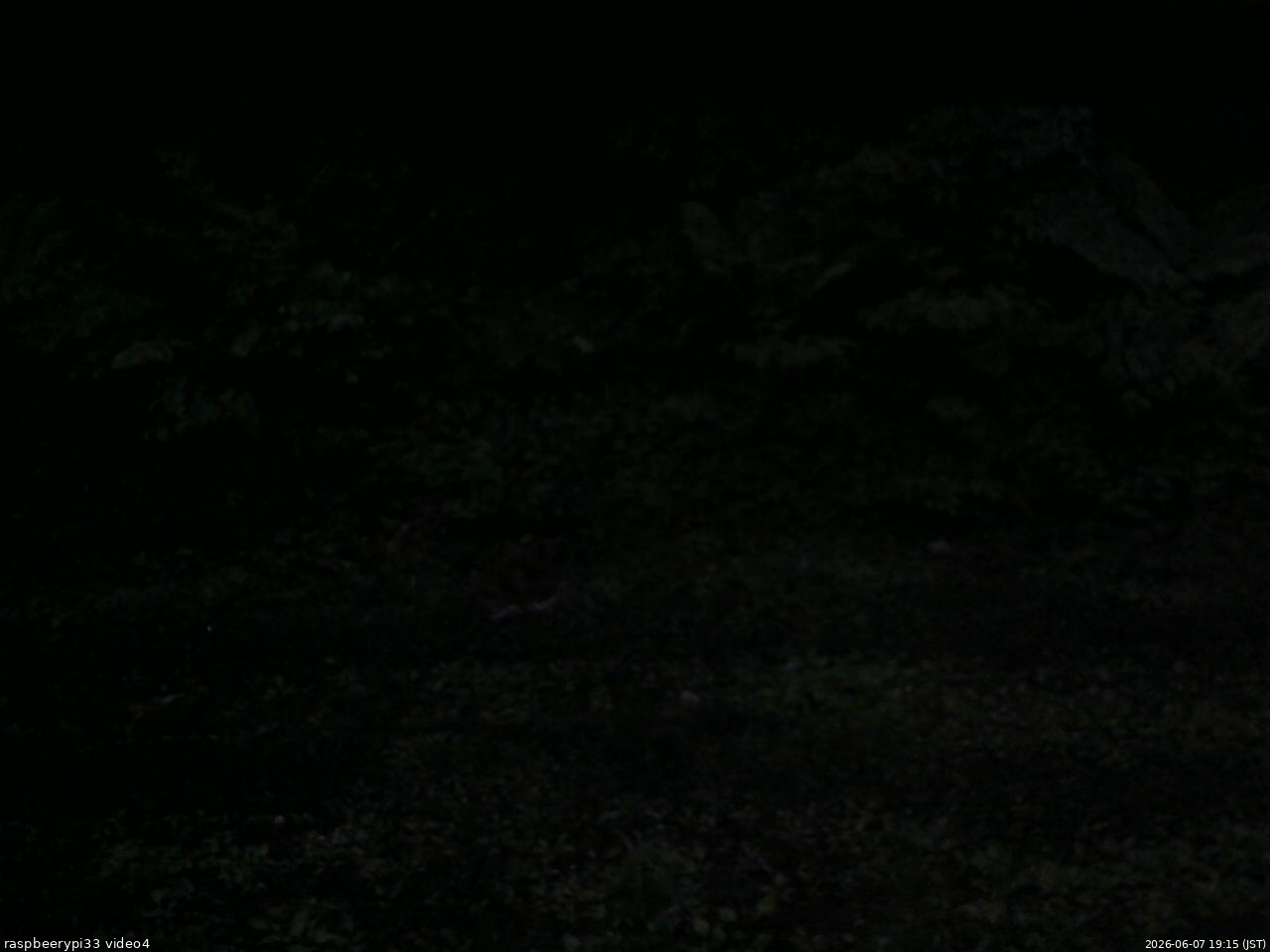 長野県菅平高原 ゆたか山荘 東側(坂下) 2026/06/07 19:15