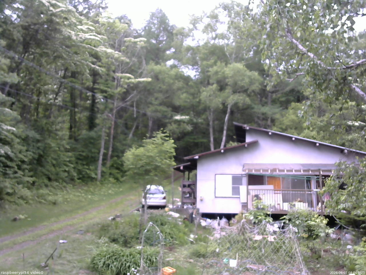 長野県菅平高原 ゆたか山荘 西側(坂上) 2026/06/07 08:00