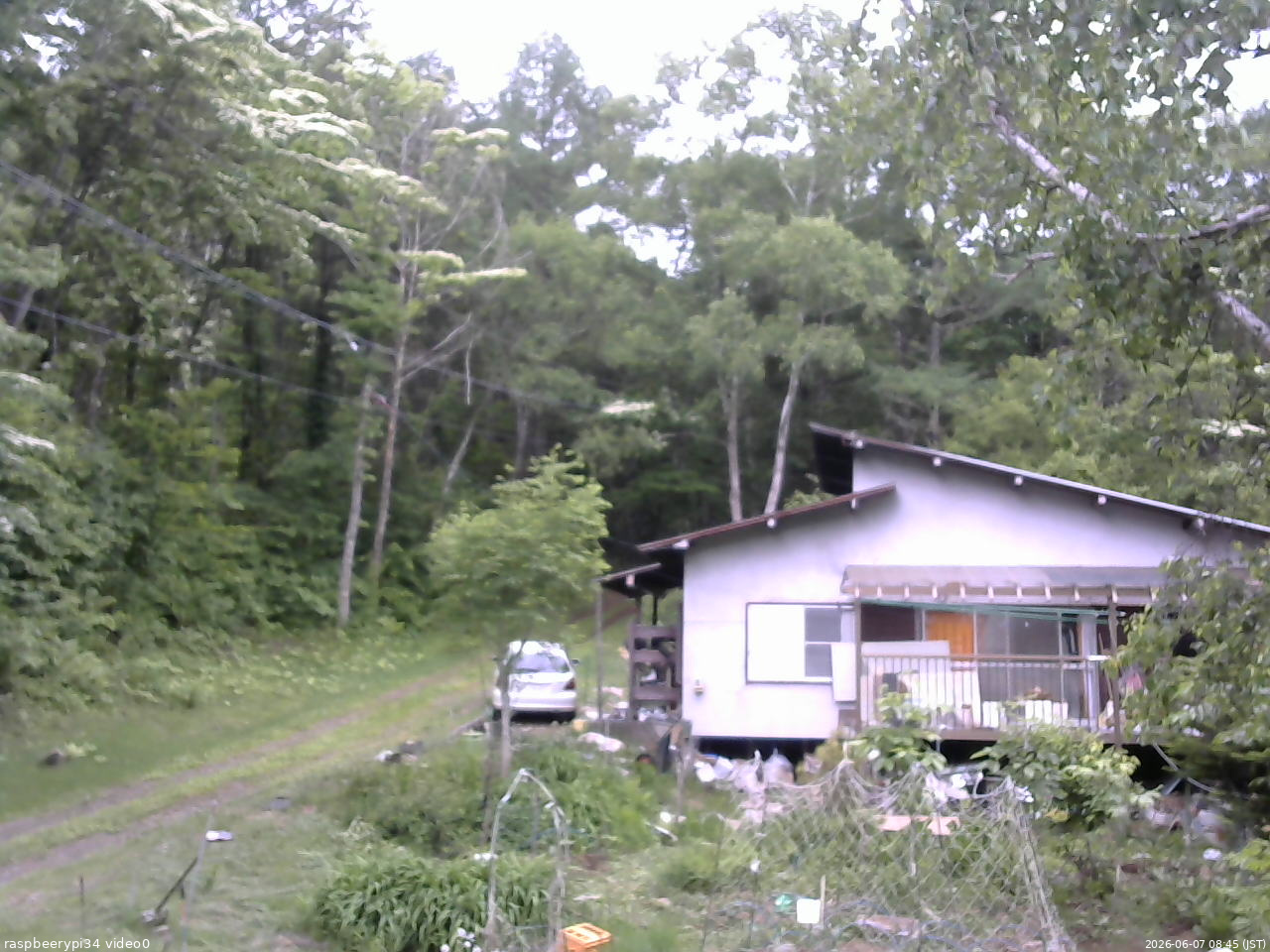 長野県菅平高原 ゆたか山荘 西側(坂上) 2026/06/07 08:45