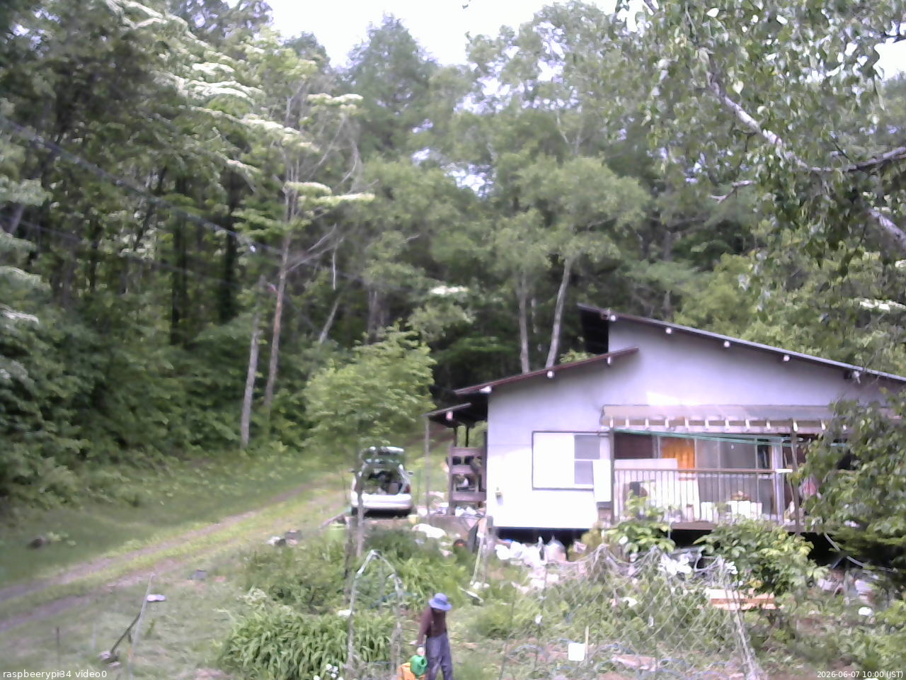 長野県菅平高原 ゆたか山荘 西側(坂上) 2026/06/07 10:00