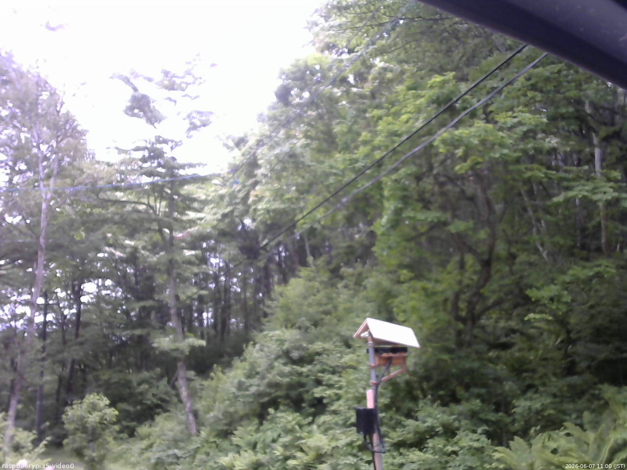 長野県菅平高原 ゆたか山荘 温度計 2026/06/07 11:00